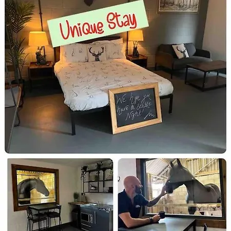 Sleep Next To A Horse In A Stable By The City ! Exeter Exterior photo