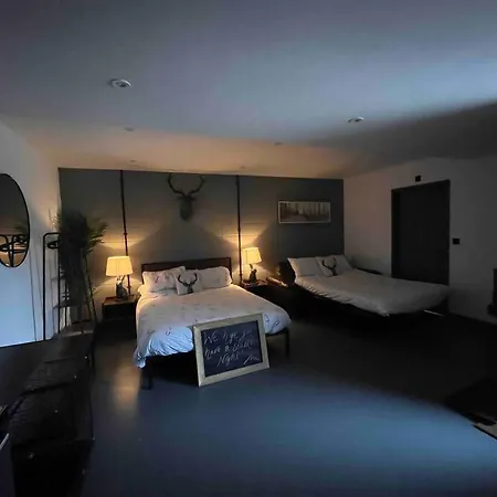 Sleep Next To A Horse In A Stable By The City ! Exeter Exterior photo