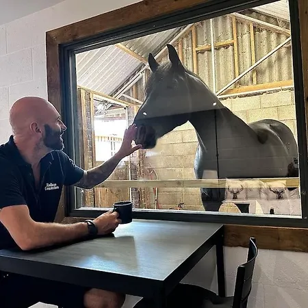 Sleep Next To A Horse In A Stable By The City ! Exeter Exterior photo