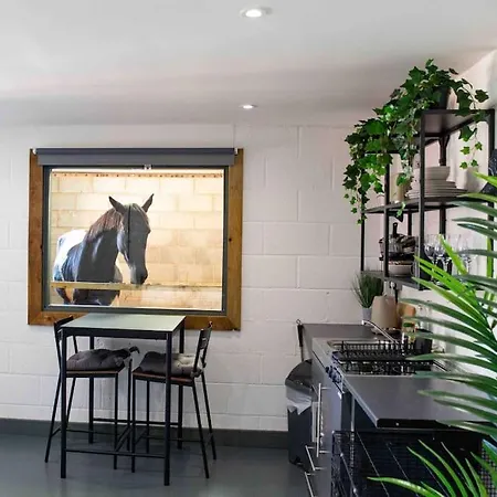 Sleep Next To A Horse In A Stable By The City ! Exeter Exterior photo