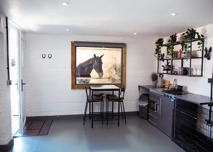 Sleep Next To A Horse In A Stable By The City !
