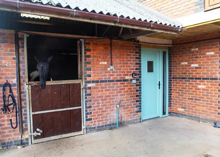 Sleep Next To A Horse In A Stable By The City !