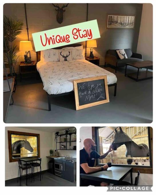 Apartment Sleep Next To A Horse In A Stable By The ! *