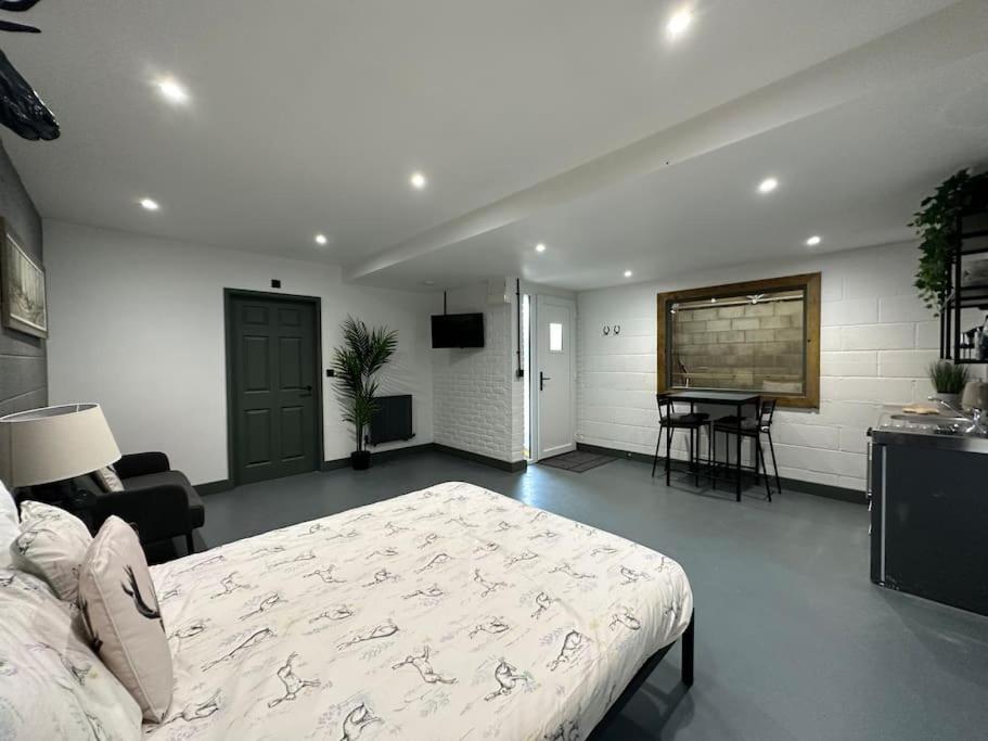 Apartment Sleep Next To A Horse In A Stable By The ! Exeter