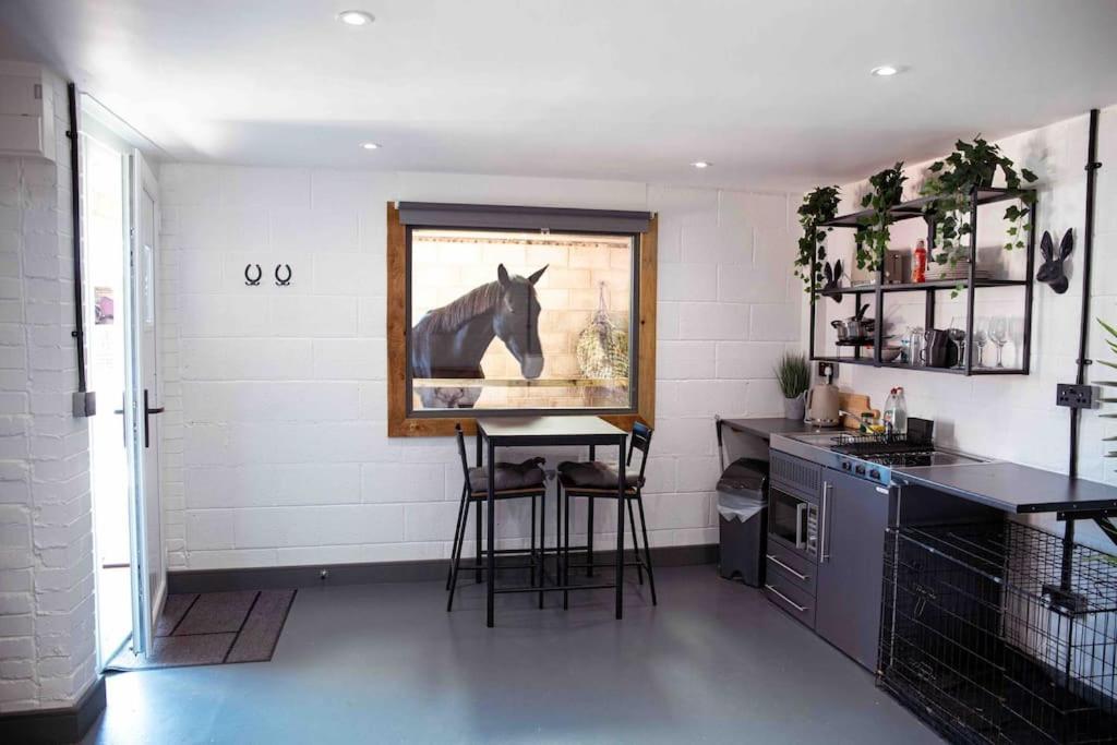 Sleep Next To A Horse In A Stable By The ! Exeter