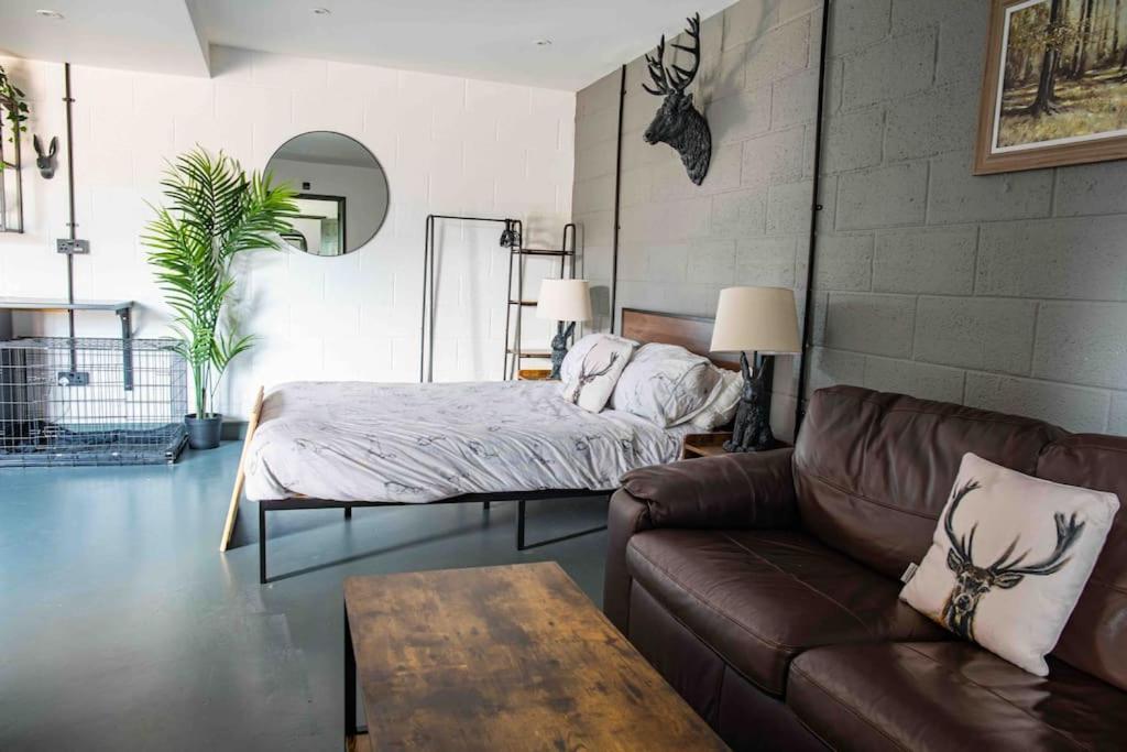 Apartment Sleep Next To A Horse In A Stable By The !