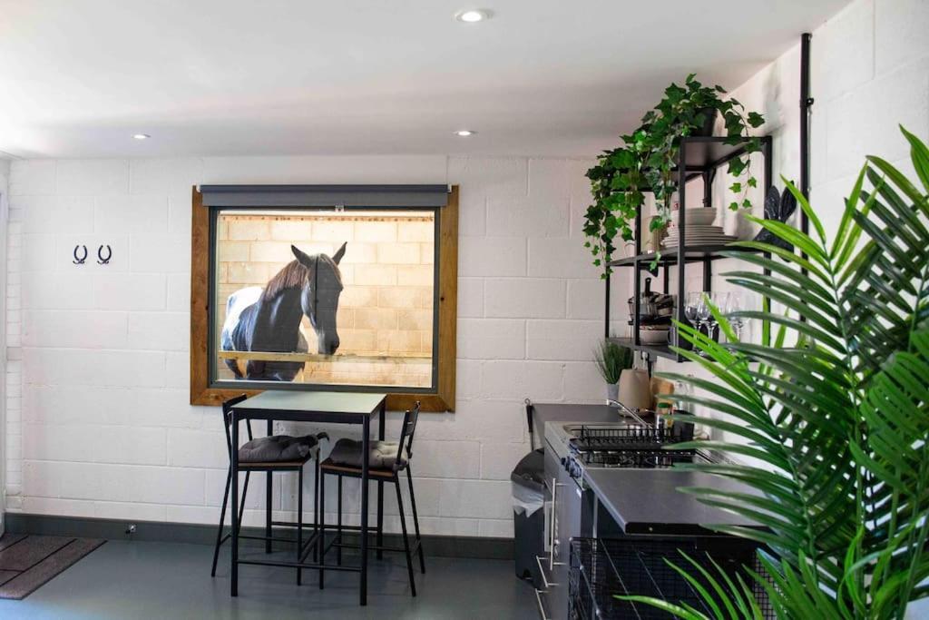 Apartment Sleep Next To A Horse In A Stable By The ! *