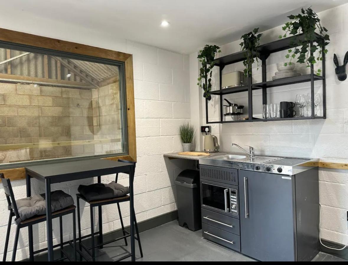 Sleep Next To A Horse In A Stable By The ! Apartment Exeter