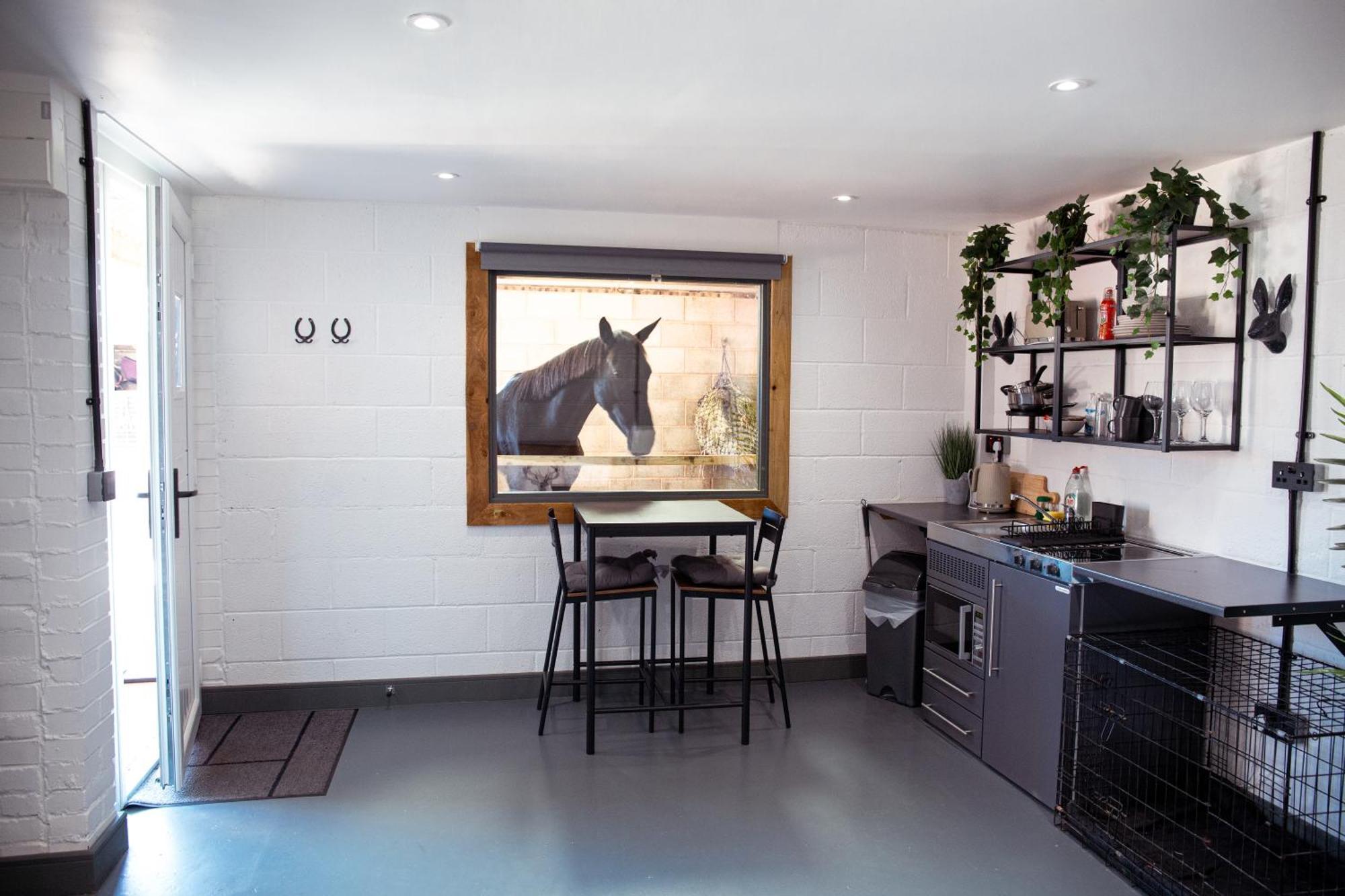 Sleep Next To A Horse In A Stable By The ! * Exeter