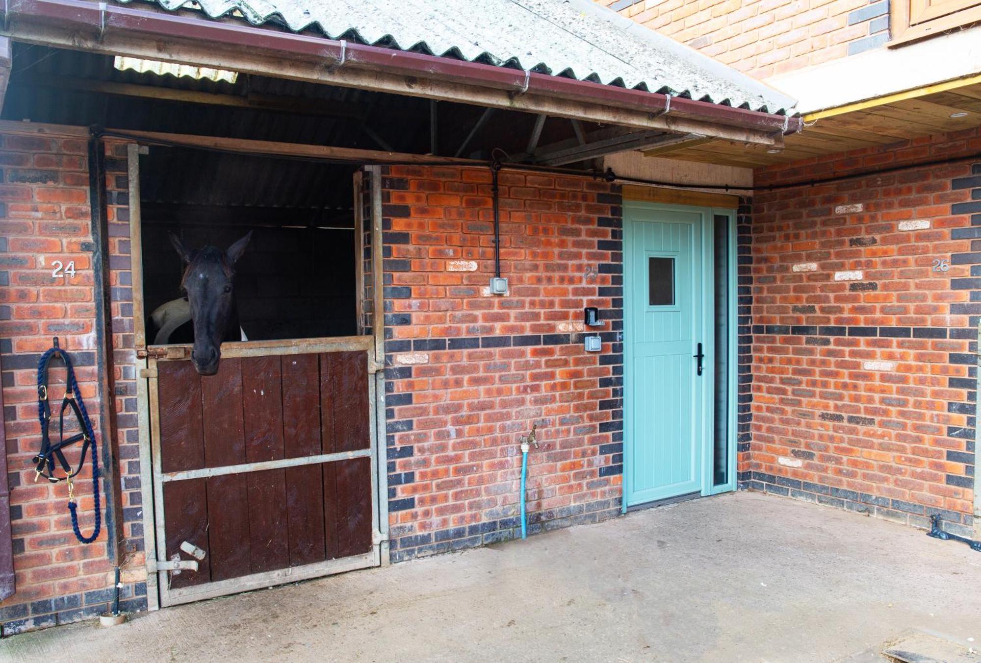 Sleep Next To A Horse In A Stable By The !
