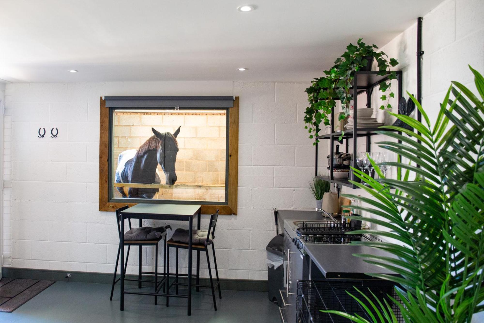 Sleep Next To A Horse In A Stable By The ! *